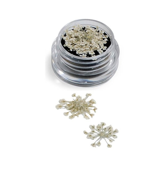 NAIL ART FLOWERS BIANCO