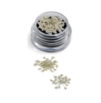 NAIL ART FLOWERS BIANCO