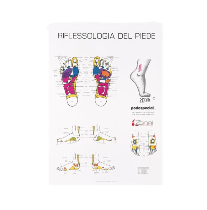POSTER RIFLESSOLOGIA