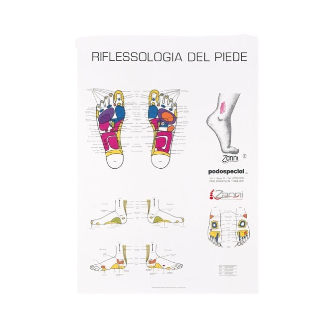 POSTER RIFLESSOLOGIA