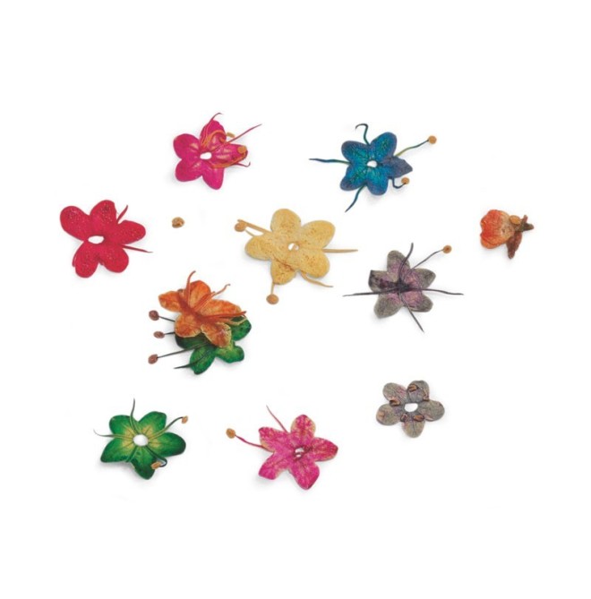 Fiori secchi per Nail Art: Zanni Podospecial, produttore e venditore professionale