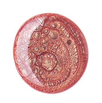 Smalto per unghie "Nail Lacquer Fall In Love" - Palette di oltre 80 colori organizzati in 4 armonie - Zanni Podospecial