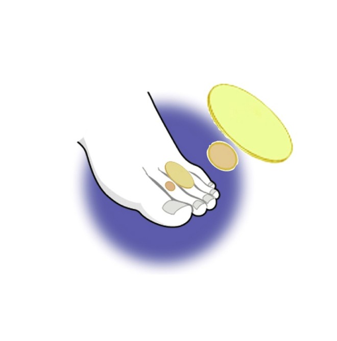 CEROTTO CALLIFUGO PZ. 6+6